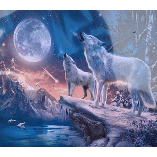 Холст-розмальовка під номерами 40*50см з набором фарб і пензликами 2 шт, з рамкою, OPP  "Виючі вовкиі" (8393RSB_O)