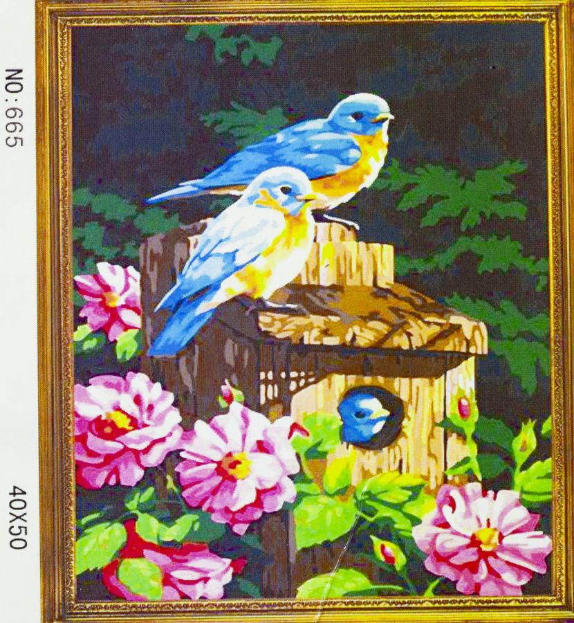 Холст-розмальовка під номерами "Птахи" 40х50см, з набором форб і пензликами 2шт, з рамкою. (665)