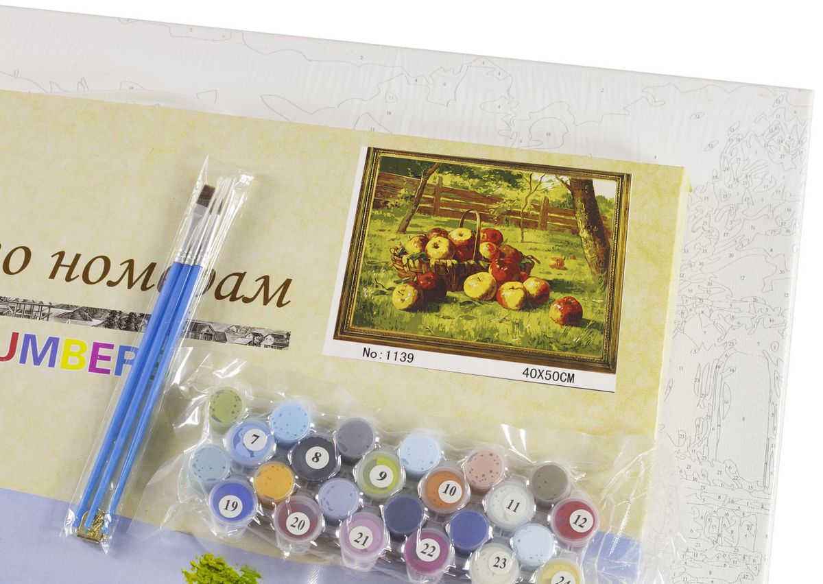 Холст-розмальовка під номерами 40*50см з набором фарб і пензликами 2 шт, з рамкою, яблука (G1139)