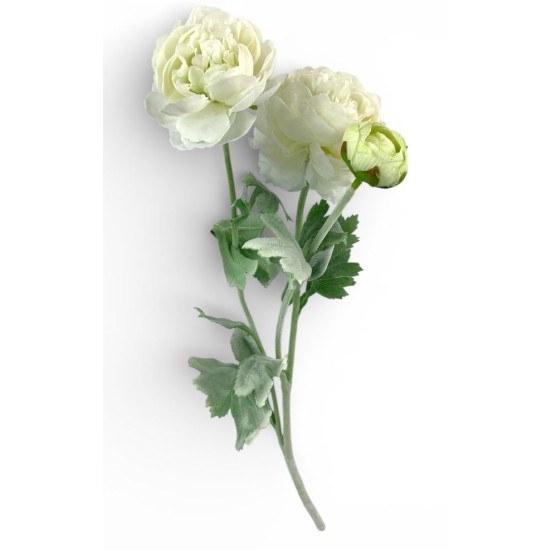 Гілка ранункулюса азіатського, 50 см, молочна (с30555-2)