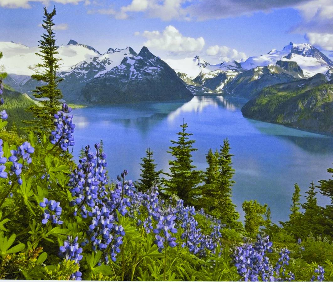 Картина по номерам "Норвегия" 40*50см,крас.-акрил,кисть-3шт. (3320RA_B)