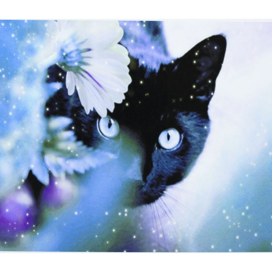 Картина по номерам "Чёрный кот в цветах" 40*50см,крас.-акрил,кисть-3шт (9249)