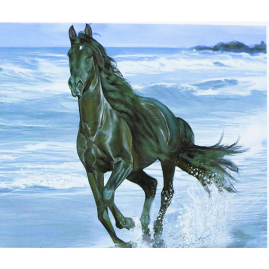Картина по номерам "Чёрный конь" 40*50см,крас.-акрил,кисть-3шт.(1*30) (3399)