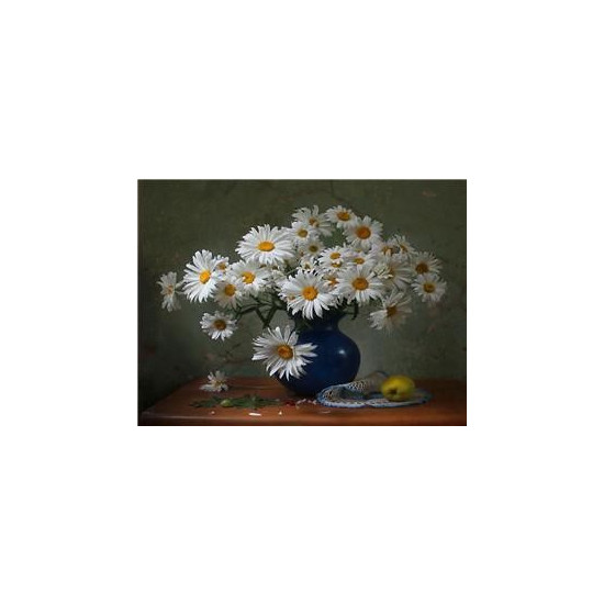 Картина за номерами "Ромашки"40 * 50см, крас.-акрил, кисть-3шт. (1 * 5) (8218)