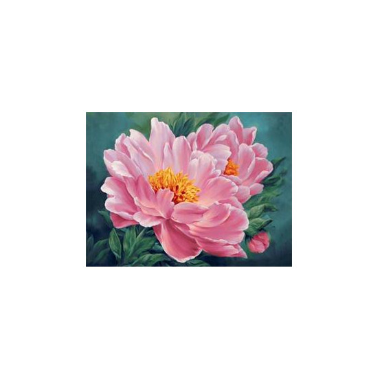Картина по номерам "Пион" 40*50см,крас.-акрил,кисть-3шт (RA30430)