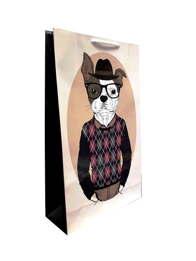 Пакет подарочный ламинированный 41х24,5 см, 170 г/м2 (W3)