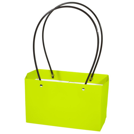 Подарункові пакети-сумки, ручка пластик, 22х13х9см, Lime (BCD221309 - Lime)