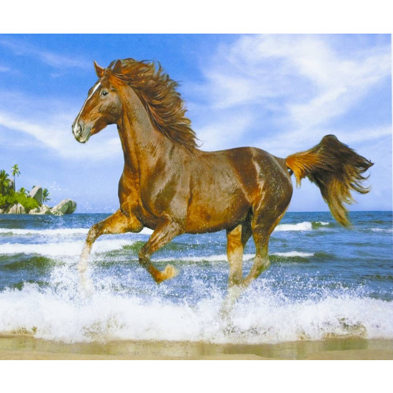 Картина по номерам "Лошадь на берегу моря" 40*50см,крас.-акрил,кисть-3 (3360)