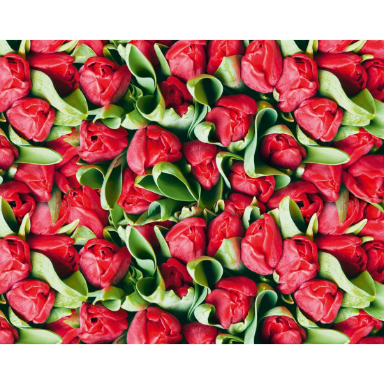 Папір пакувальний крейдований 80г 10 листів - 100 х 70см Різнокольоровий Unison (PVM10-216)