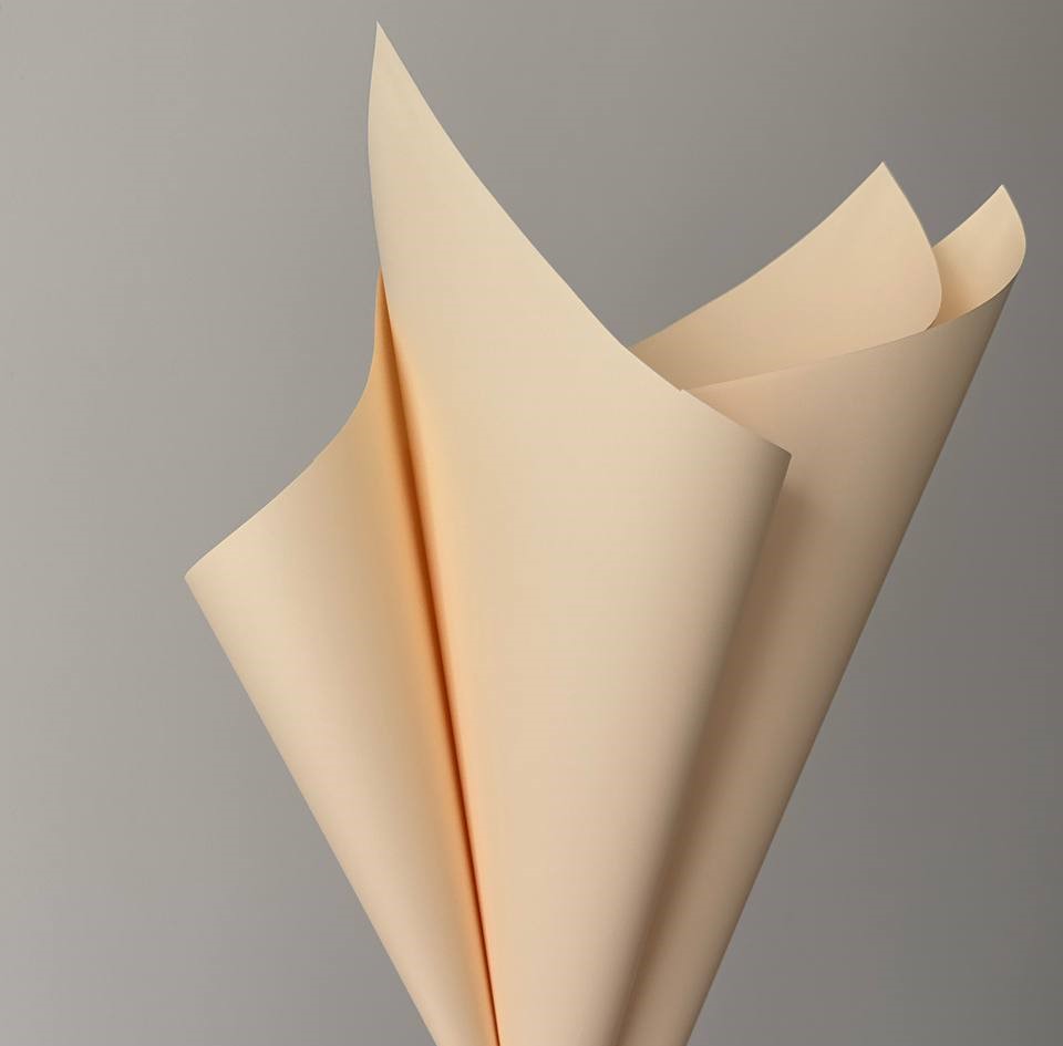 Пленка матовая "Моно" 60 мкр, 57 х 57см  20 листов (j00325 -243)