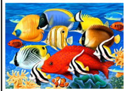 Картина по номерам "Морские рыбки" 40*50см,крас.-акрил,кисть-3шт. (6363)