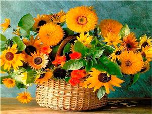 Картина за номерами "Кошик з квітами" 40 * 50см, крас.-акрил, кисть-3шт. (RA30529)