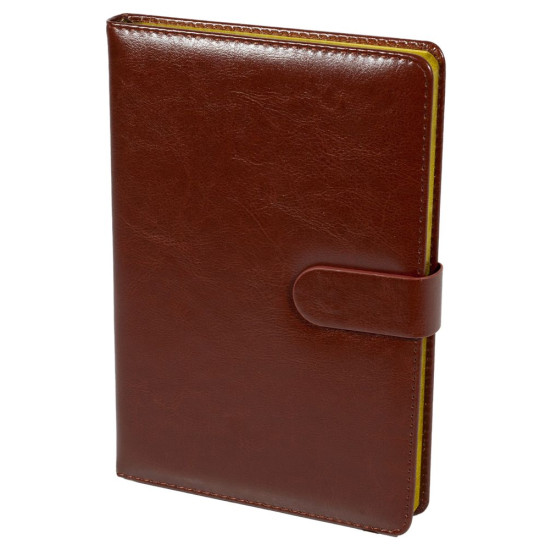 Ежедневник недатир. клетка А5 150 листов на магните золотой край (2106)