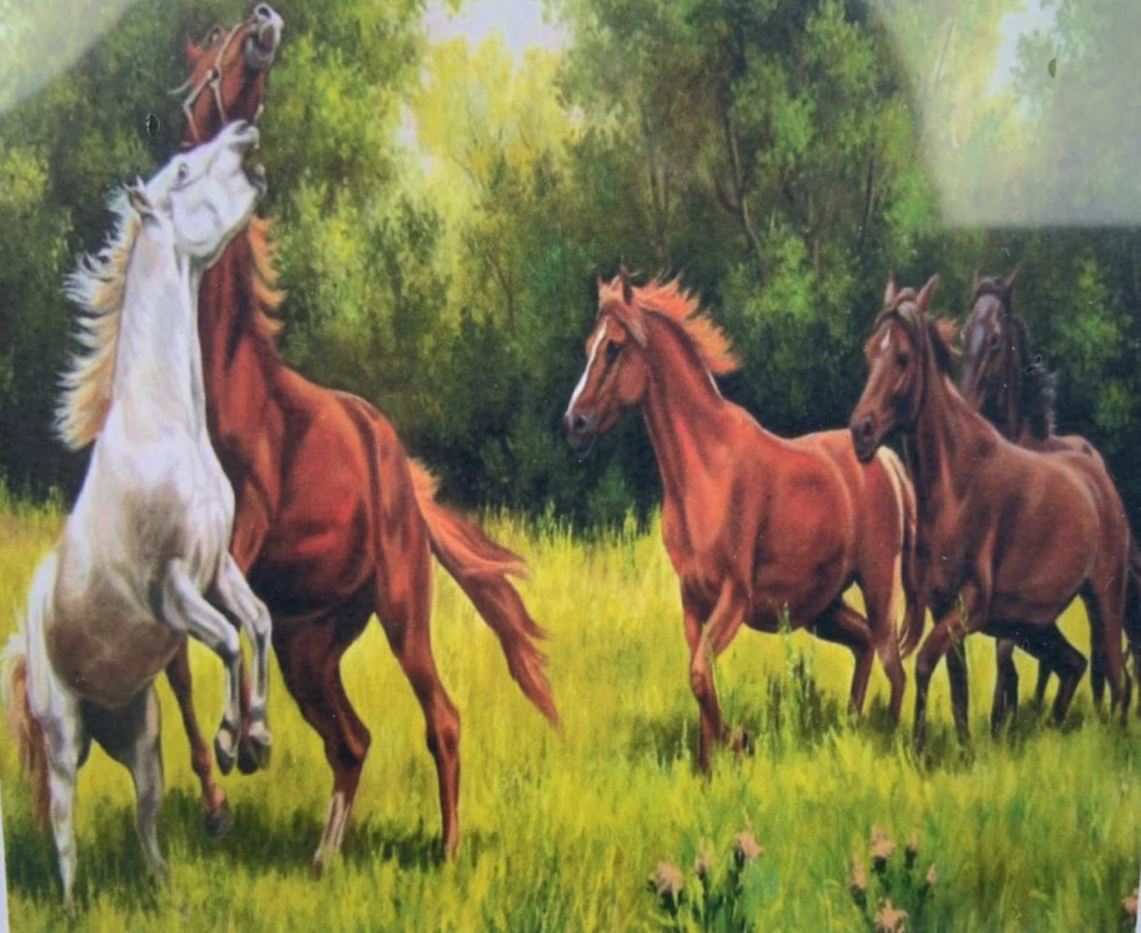 Картина по номерам 30*40см "Лошади" OPP (холст на раме краск. кисти. ) (1106EKTL_O)