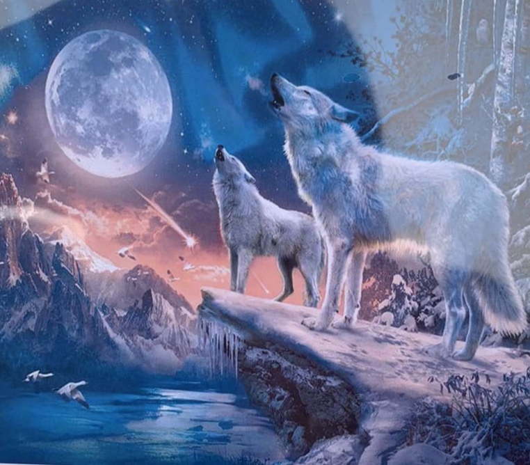 Холст-розмальовка під номерами 40*50см з набором фарб і пензликами 2 шт, з рамкою, OPP  "Виючі вовкиі" (8393RSB_O)