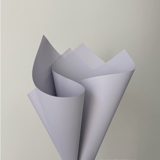 Пленка матовая "Моно" 60 мкр, 58 х 58см  20 листов (j00334 -15)