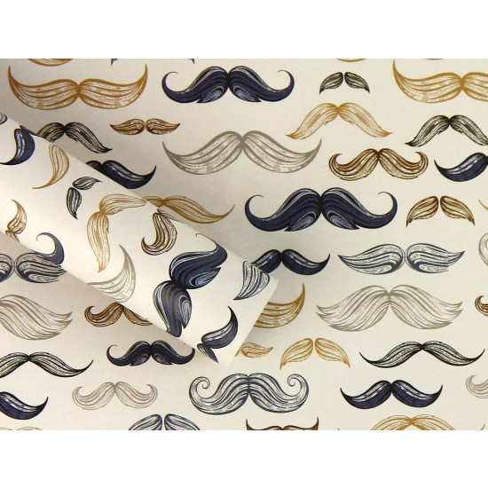 Бумага для упаковки подарков 10 листов  100 х 70см 50г (PCZ10070-10-611)