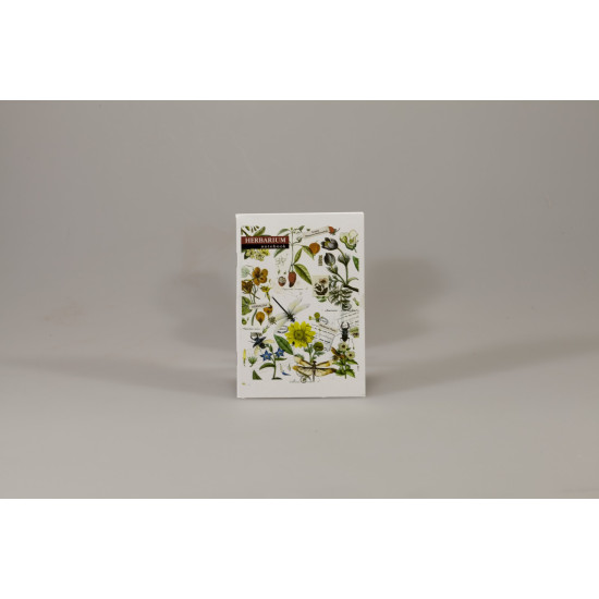 Записна книга А6 на скобі 36 аркушів клітинка, 3 дизайна (ЗК6636К)