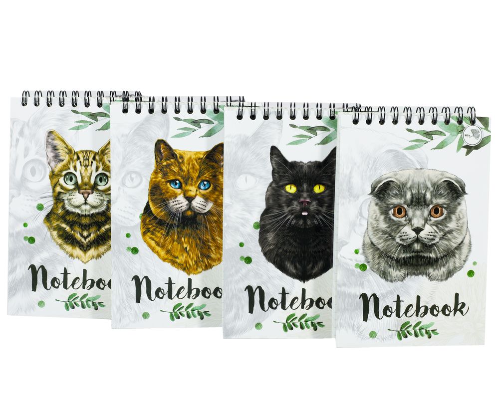 Блокнот А-6 "Коти" 80 сторінок, верхня пружина, клітинка (Бк 080вп)