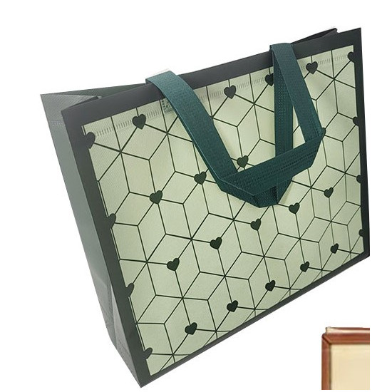 Сумка шопер пластикова 32 х 27 х 10см (63-1-5-1005)