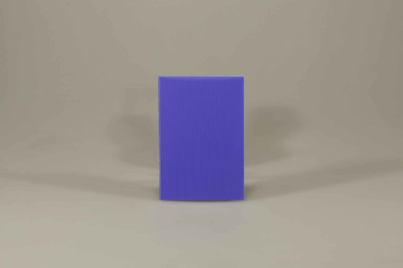 Записная книга ЗК6536-П01 (ЗК6536-П01)