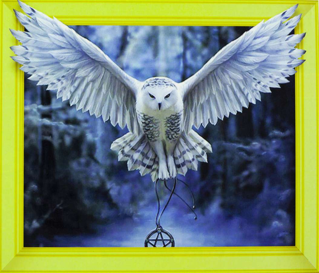 Алмазна мозаїка  3D за номерами 40*50см "Полярна  сова" карт уп. (Полотно на рамі камені) (0022ELT)