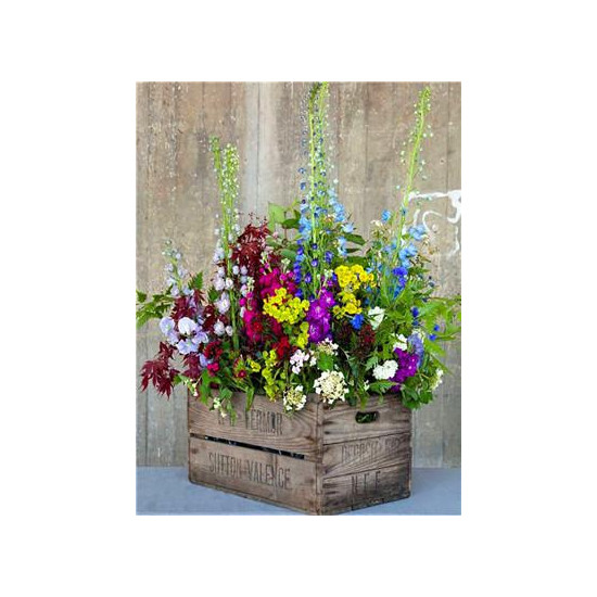 Картина по номерам 40 х 50см "Цветы" Разноцветный Unison (RA3681)