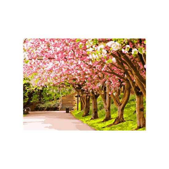 Картина по номерам "Деревья в цвету" 40*50см,крас.-акрил,кисть-3шт. (RA3727)