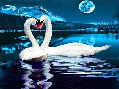 Картина по номерам "Пара лебедей" 40*50см,крас.-акрил,кисть-3шт. (RA3782)