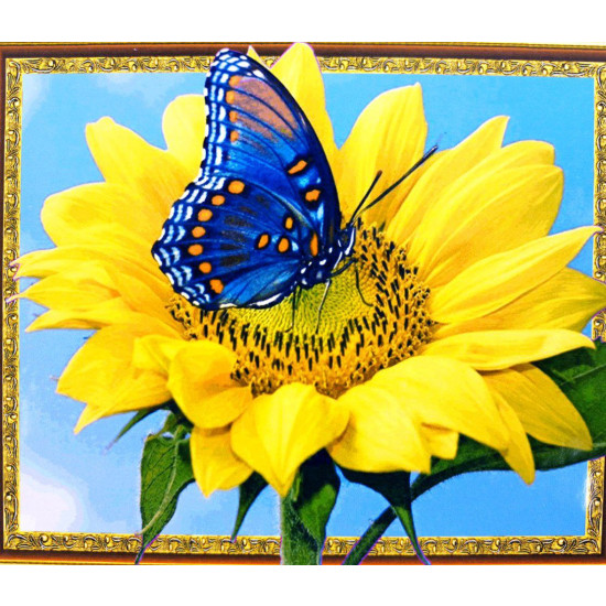 Алмазная мозаика 5D по номерам 40 х 50см "Бабочка на подсолнечнике" Разноцветный Unison (30570)