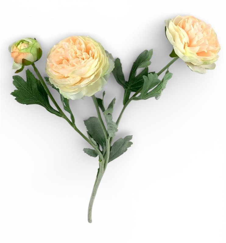 Ветка ранункулюса азийского, 50 см, персиковая Зеленый Unison (c30555-8)