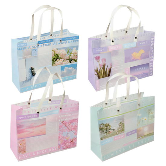 Пакет пластиковий, 25,5 х 20 х 9,5см (6212)