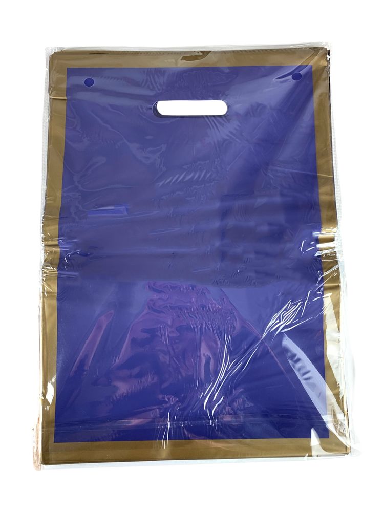 Пакет поліетиленовий з прорізною ручкою, 30 х 20см 50шт/уп (10804 blue-gold)