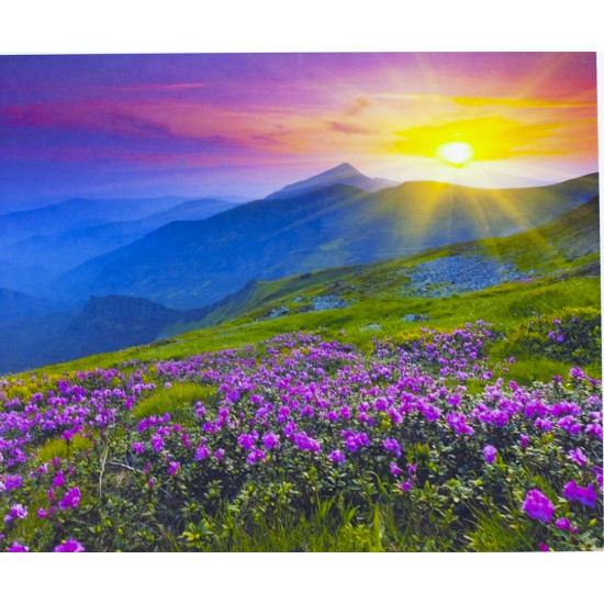 Картина по номерам "Горная поляна" 40*50см,крас.-акрил,кисть-3шт.(1*30 (3208)