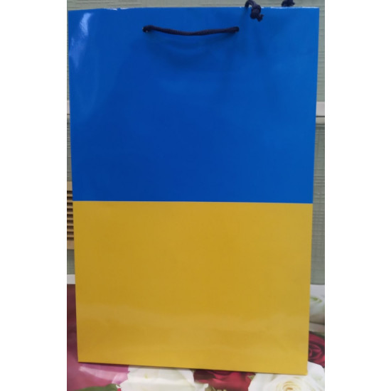 Пакет паперовий 150г, 25 х 37 х 8см Жовто-блакитний Unison (PVM253708U-1)