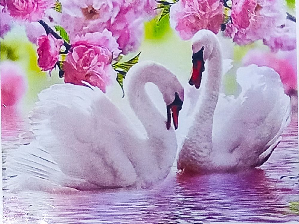 Алмазная мозаика 30 х 40см "Лебеди" рулон в PVC (без подрамника) Разноцветный Unison (61314_O GLD)