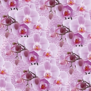 Папір пакувальний крейдований 80г 10 аркушів 100 х 70см Рожевий Unison (PVM10-264)