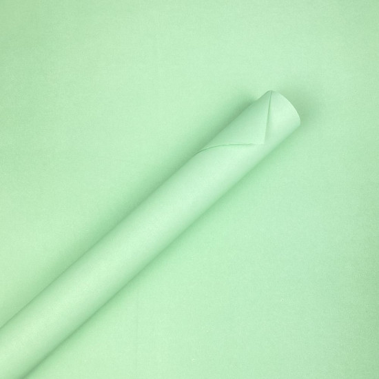 Бумага упаковочная крафт-двосторонний 0,7 х 7м Зеленый Unison (Пт 472.13)