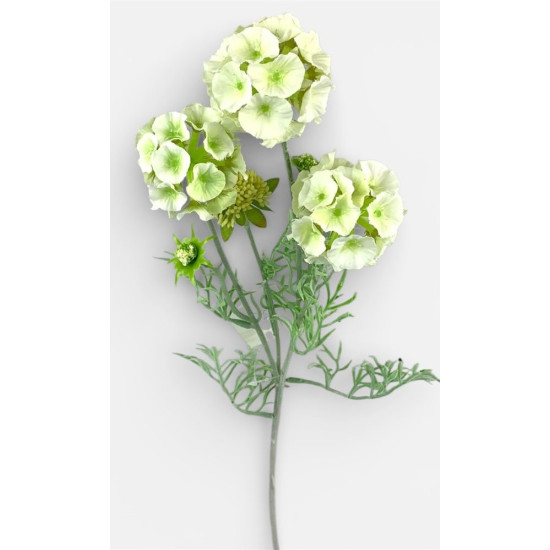 Гілка Скабіоза - зірчаста, 65см біла Unison (c30509-1)