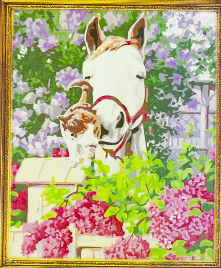 Картина по номерам 40х50, Дружба (549-1)