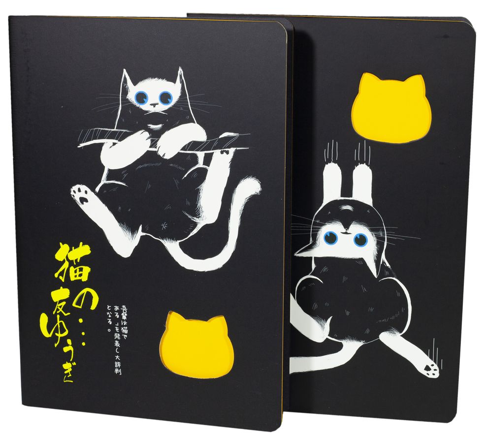 Блокноты-черные листы, обл. крафт, В5- 20 листов "Кот  неон" (1802-04)