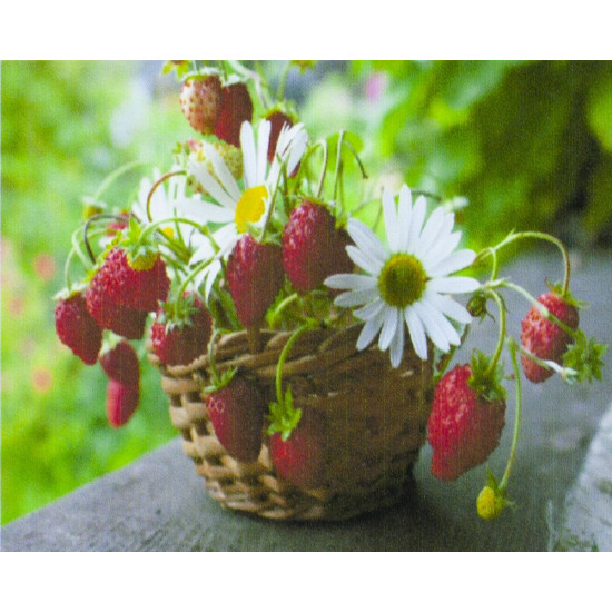 Алмазная мозаика по номерам  30*40см "Земляника в корзинке" в рулоне (71065 GB)