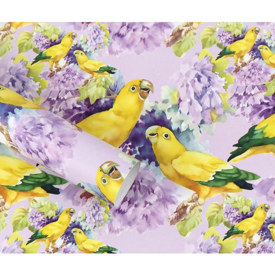 Бумага для упаковки подарков 10 листов - 100 х 70см 50г Разноцветный Unison (PCZ10070-10-543)