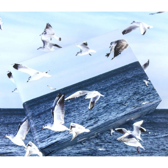 Бумага для упаковки подарков 10 листов  100 х 70см 50г Разноцветный Unison (PCZ10070-10-547)