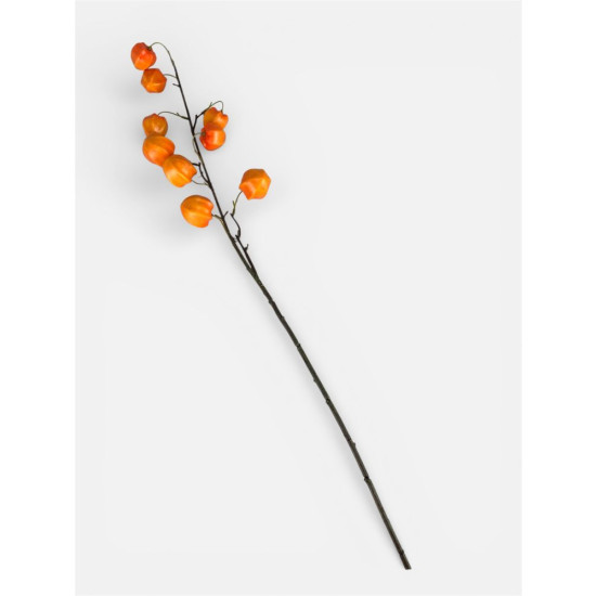 Ветка физалиса, 76 см, оранжевая Unison (c30514-2)