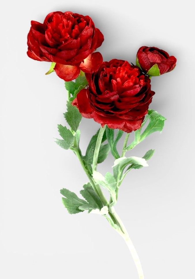 Гілка ранункулюса азіатського, 50 см, бордова Unison (c30555-7)