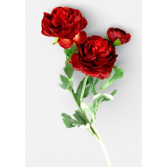 Гілка ранункулюса азіатського, 50 см, бордова Unison (c30555-7)