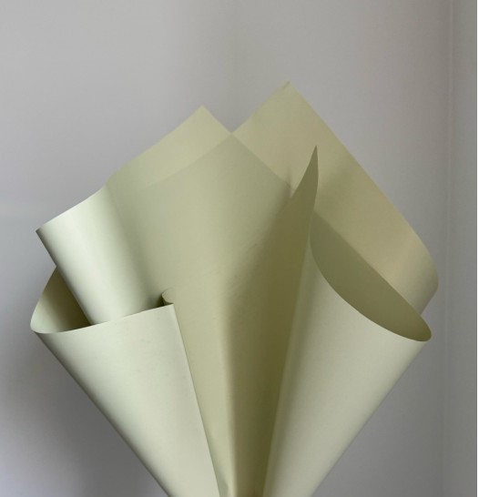 Плівка матова "Моно" 60 мкр, 57 х 57см  20 аркушів Unison (j00325 -81)