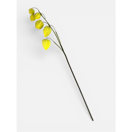 Ветка физалиса, 71 см, желтая Unison (c30556-1)