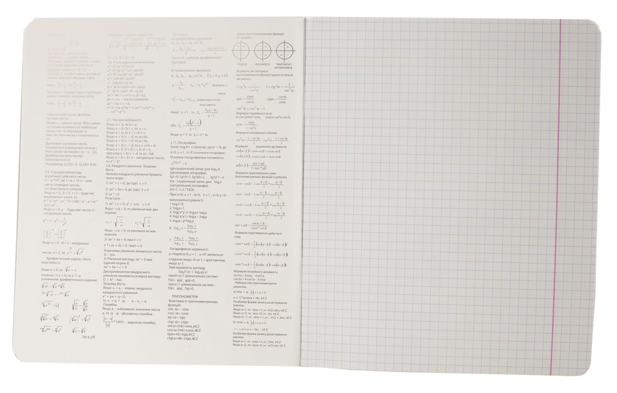 Зошит предметний 48 аркушів в клітинку 10шт в упаковці Unison (Тр 007б/959059)